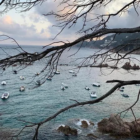 Apartment Luminoso Paloma A 350 Metros De La Playa Con Parking Gratuito Sant Feliu de Guixols